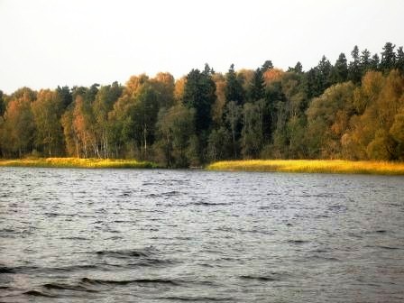    2005 .